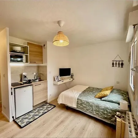 Apartment Studio Orchidee - Metro Arenes - Hopital A 5 Mn
